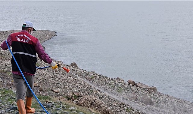 Elazığ'da larva ilaçlama çalışmaları sürüyor