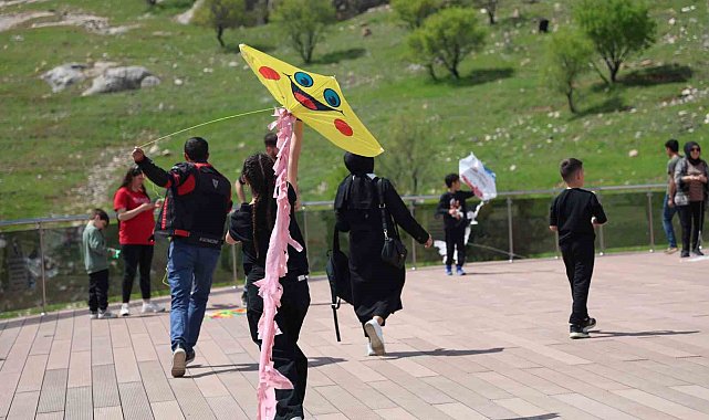 Elazığ'da uçurtma şenliğinde renkli görüntüler oluştu