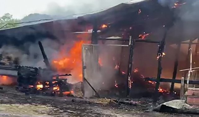 Elektrik kontağından çıkan yangın samanlığı küle çevirdi