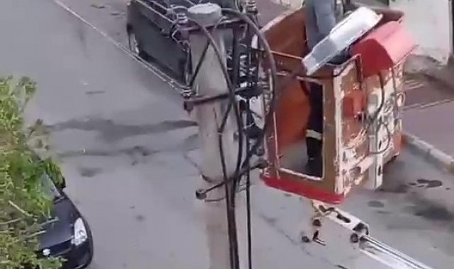 Elektrik tellerine takılan kumru için kurtarma operasyonu