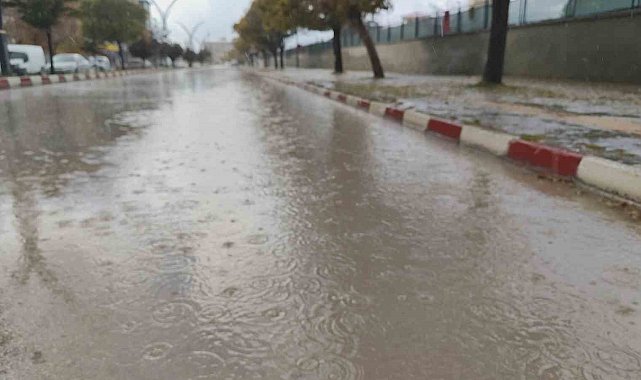 Erciş'te yağmur yağışı etkili oldu