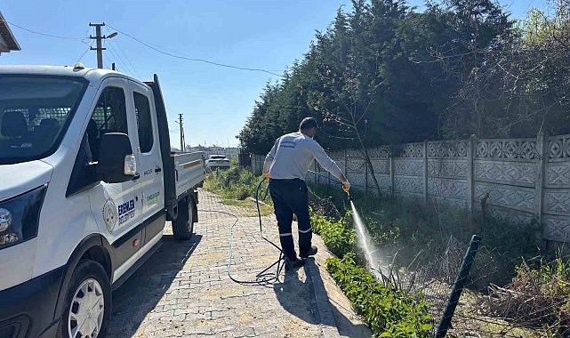 Erenler Belediyesi larva ilaçlama çalışmalarına başladı