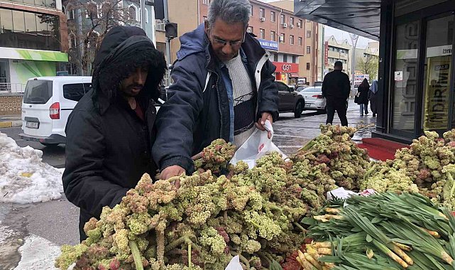 Erzincan'da 'yayla muzunun' destesi 100 ila 300 TL'den satışta