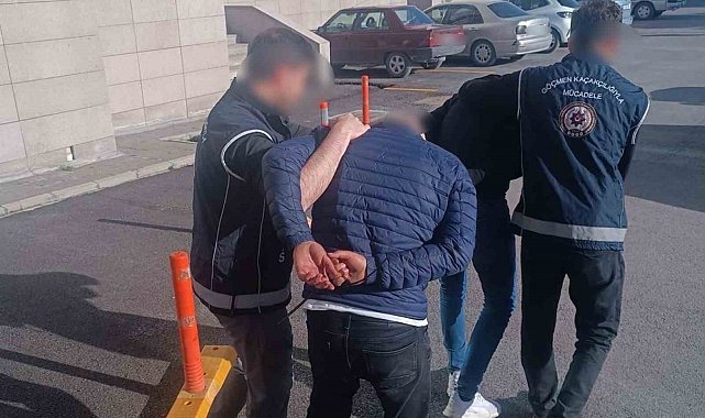 Erzincan'da 5 kaçak göçmen yakalandı