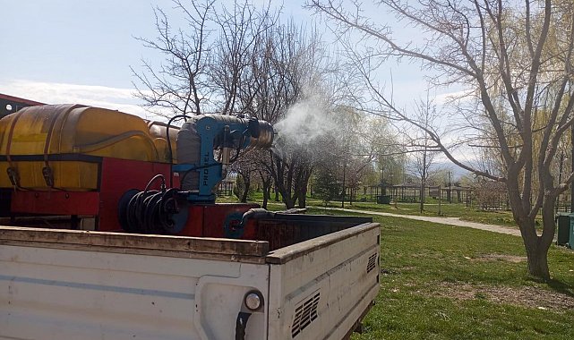 Erzincan'da larva ilaçlaması devam ediyor