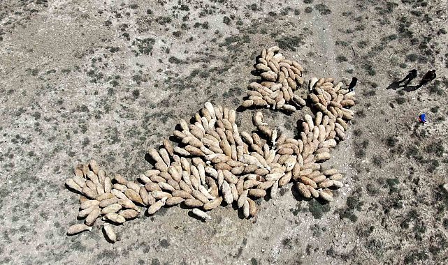 Erzincan'da meralar ihaleye çıkarıldı