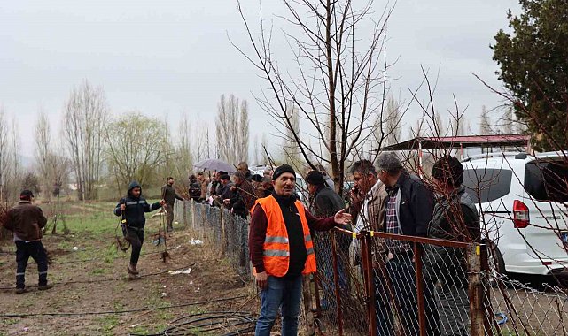 Erzincan'da meyve fidanı satışına yoğun ilgi