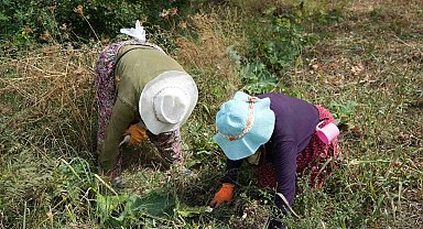 Erzincan'da patatesin toprakla buluşma yolculuğu başladı