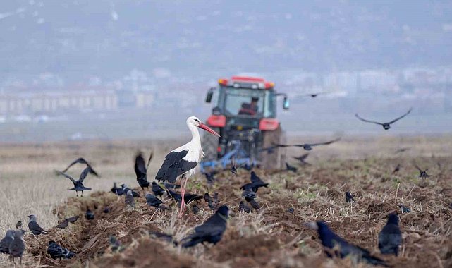 Erzurum'da traktör sayısı 22 bini geçti