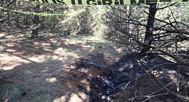 Eskişehir'de 1 haftadır kayıp olarak aranan kadının yakılarak öldürüldüğü ortaya çıktı