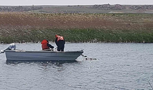 Eskişehir'de istilacı balık türleri ile mücadele