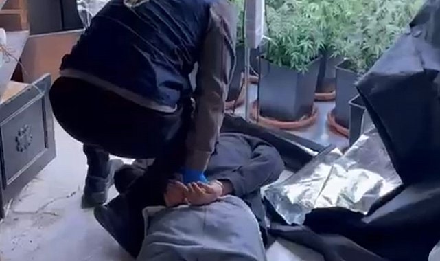 Evini uyuşturucu serasına çevirdi