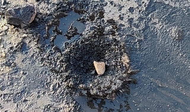 Fabrikaların zehrini kustuğu dere can çekişiyor