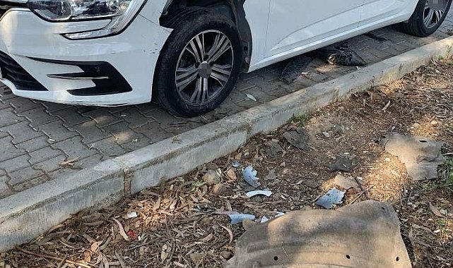 Fethiye'de domuzlar otomobili parçaladı