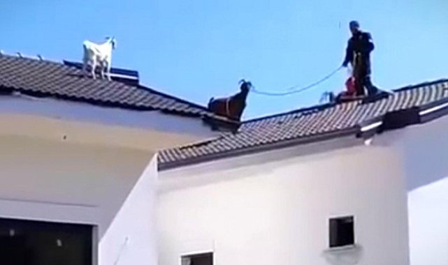 Fethiye'de sıra dışı kurtarma operasyonu