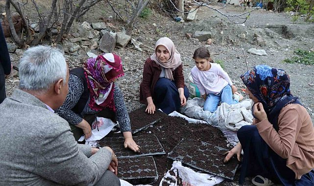 Fidelerini kendileri yetiştiriyorlar