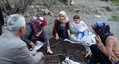 Fidelerini kendileri yetiştiriyorlar