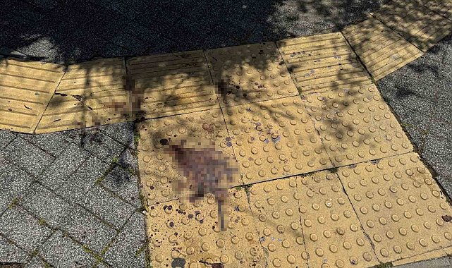 Gazeteci Ersan'a saldırıyla ilgili 5 şüpheli gözaltına alındı