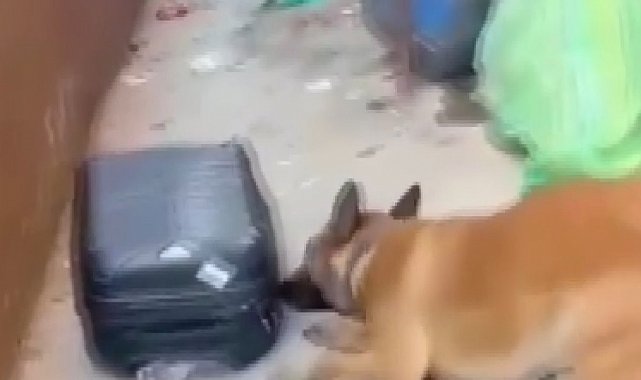 Gaziantep'te 950 gram metamfetimin ele geçirildi: 3 şahıs tutuklandı