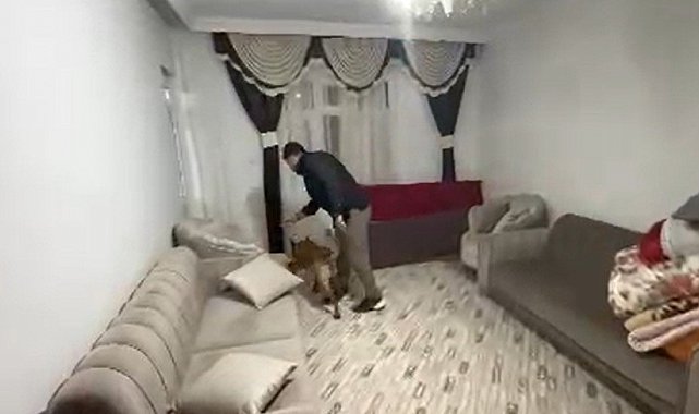 Gaziantep'te uyuşturucu operasyonu: 2 tutuklama