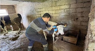 Gazipaşa'da gıda ve hayvan sağlığı denetimi