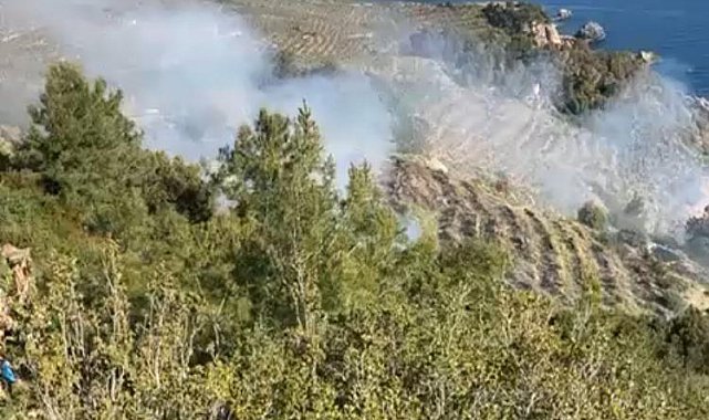 Gazipaşa'da muz bahçesindeki yangın makilik alana sıçradı