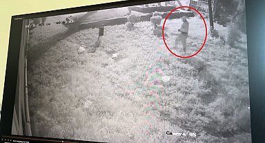 Gece ev soyan sakar hırsız, olay yerinde telefonunu düşürdü