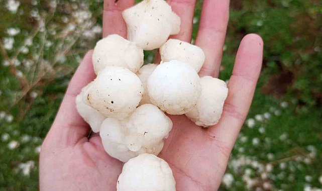 Gevaş'ta ceviz büyüklüğünde dolu yağdı