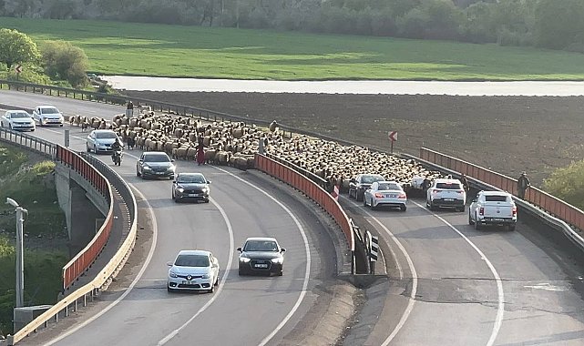 Göçerlerin Faraşin Yaylası yolculuğu başladı