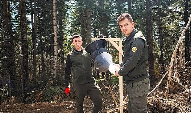 Göknar kabuk böceğiyle mücadele