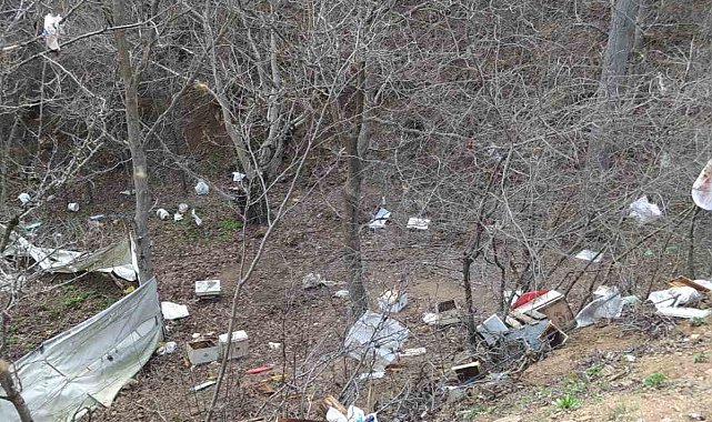Gümüşhane'de fırtınada arı kovanları telef oldu