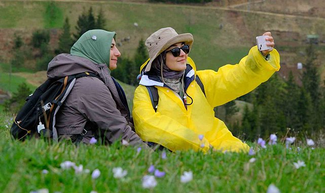 Gümüşhane'nin mor sümbül cenneti Damlı Köyü