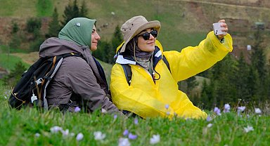 Gümüşhane'nin mor sümbül cenneti Damlı Köyü