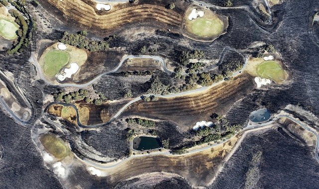Güney Kore'de orman yangınlarının yol açtığı hasar, tahminlerin iki katı çıktı