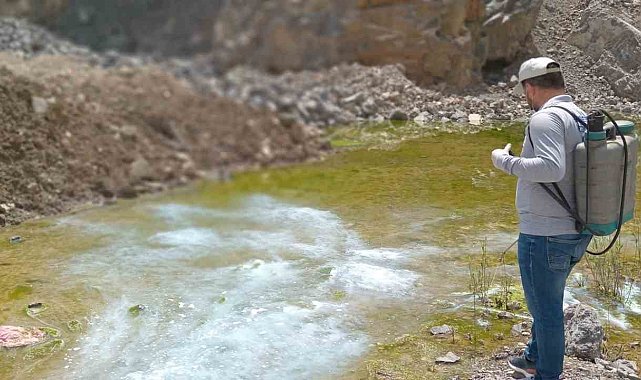 Hakkari'de yaz öncesi larva seferberliği