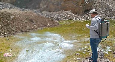 Hakkari'de yaz öncesi larva seferberliği