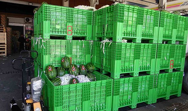 Halden 700 kilo karpuz çalındı: O anlar kamerada