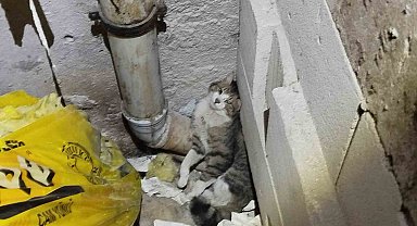 Havalandırma boşluğunda sıkışan kedi kurtarıldı