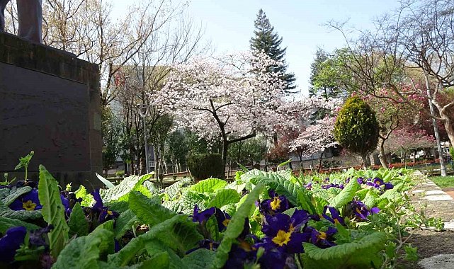 Havalar ısınıyor polen alerjisine dikkat