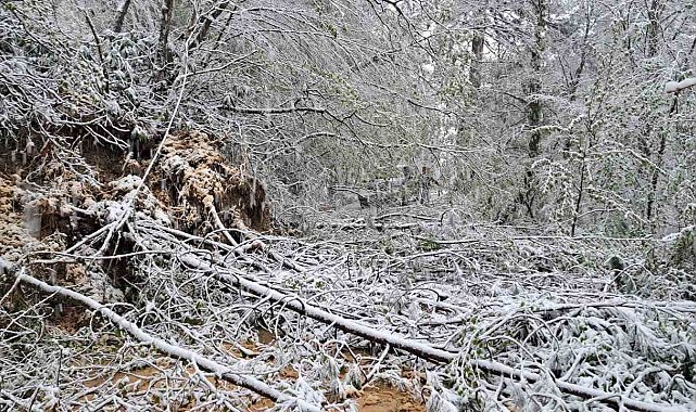 Heyelandan kapanan yol yeniden ulaşıma açıldı