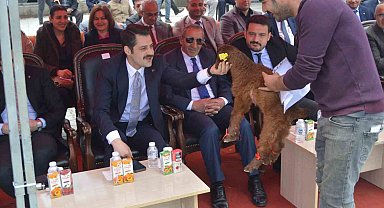 Iğdır'da güzellik yarışması düzenlendi