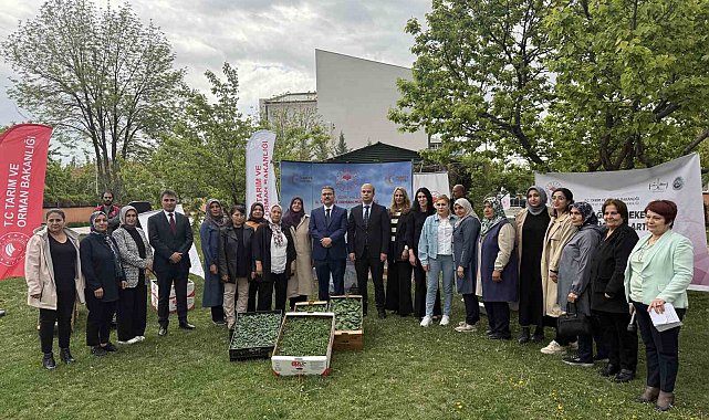 Iğdır'da kadın çiftçilere fide dağıtımı yapıldı