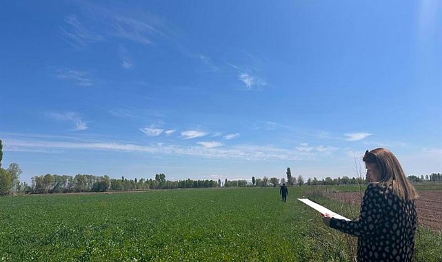 Iğdır'da yem bitkileri kontrolleri devam ediyor