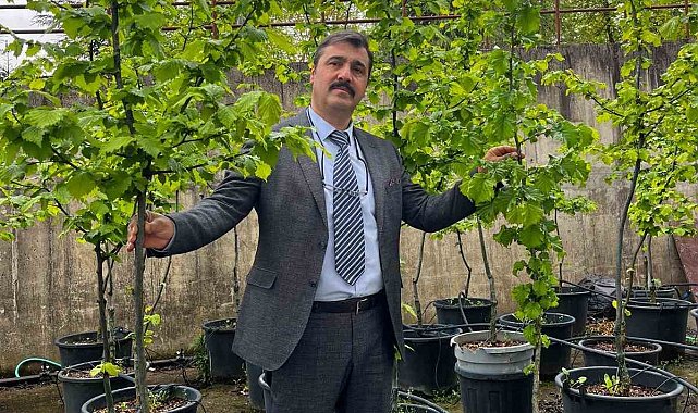 İklim değişikliği fındık tarımını tehdit ediyor