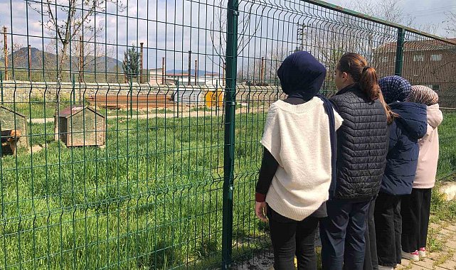 İmam hatip öğrencileri E-twinning projesi kapsamında hayvan barınağını ziyaret etti