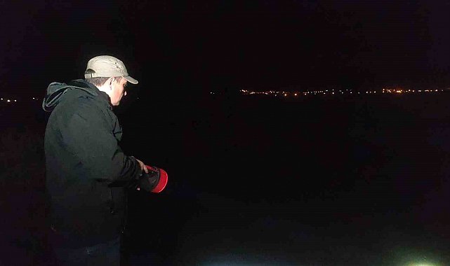 İnci kefalinin tatlı sulara göçü başladı