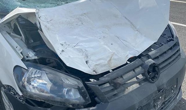 İneğe çarpan otomobilin sürücüsü hayatını kaybetti