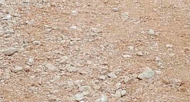 İş makinesi can aldı: 1 ölü