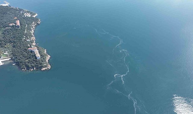 İstanbul'da müsilaj yeniden ortaya çıktı