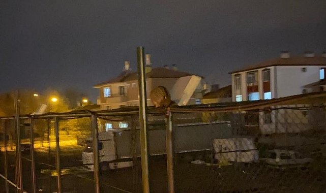 İtfaiyeden kedi kurtarma operasyonu